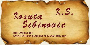 Košuta Sibinović vizit kartica